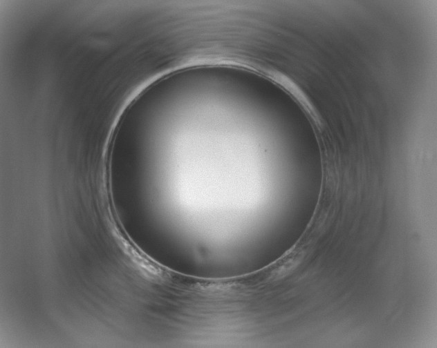 X0000067901004200604131349