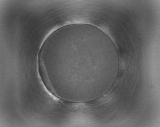 X0000067901006200604131349