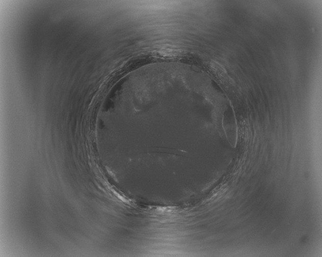 X0000067901009200604131348
