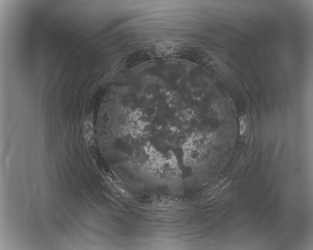 X0000067901011200604131348