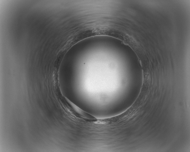 X0000067901012200604131348