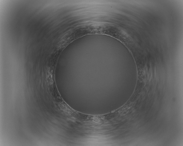 X0000067901013200604131348