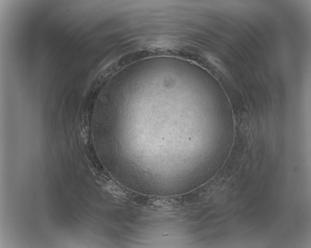 X0000067901015200604131349