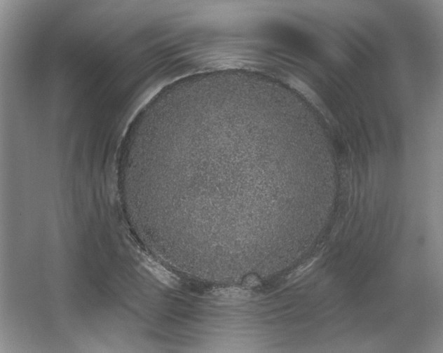 X0000067901023200604131349