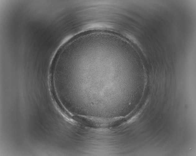 X0000067901029200604131349