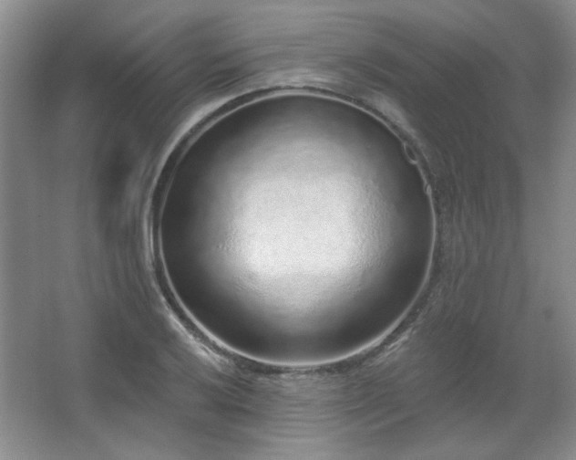 X0000067901032200604131349
