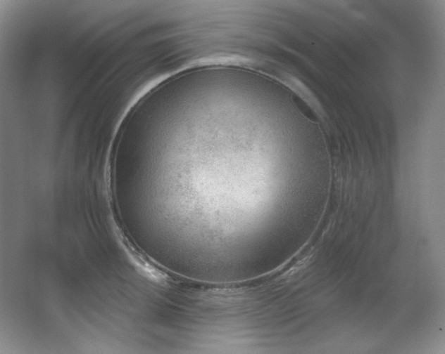 X0000067901044200604131349