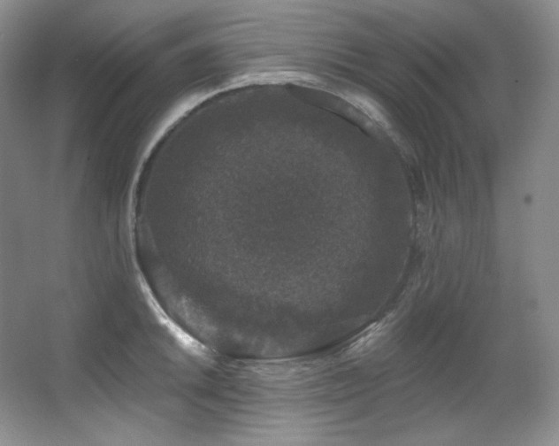 X0000067901046200604131349
