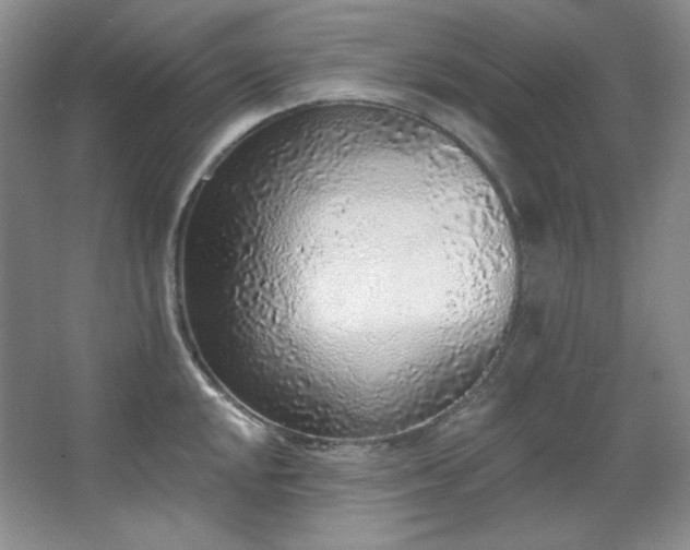 X0000067901048200604131349