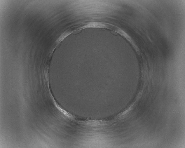 X0000067901049200604131349