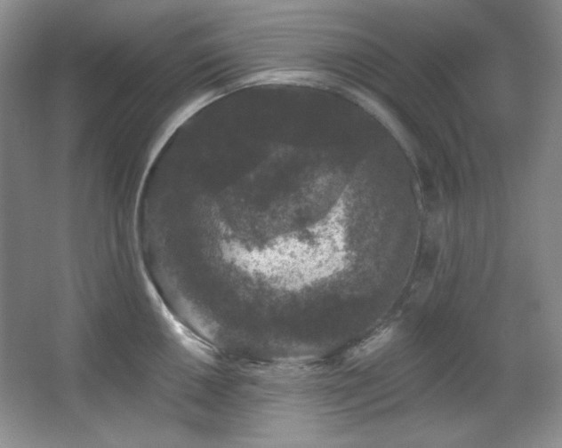 X0000067901050200604131349