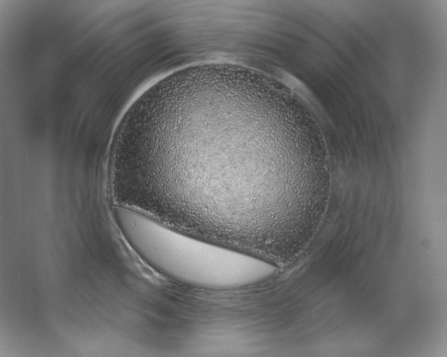 X0000067901052200604131349