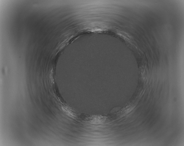 X0000067901060200604131348
