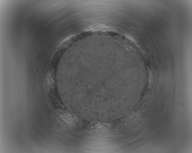 X0000067901063200604131348