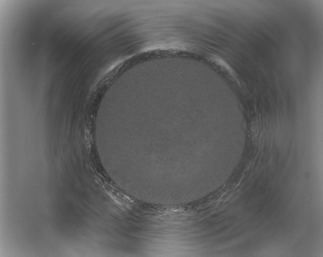 X0000067901064200604131348