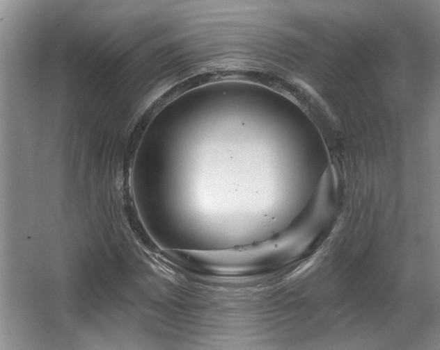 X0000067901065200604131348