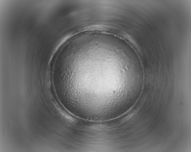 X0000067901075200604131348