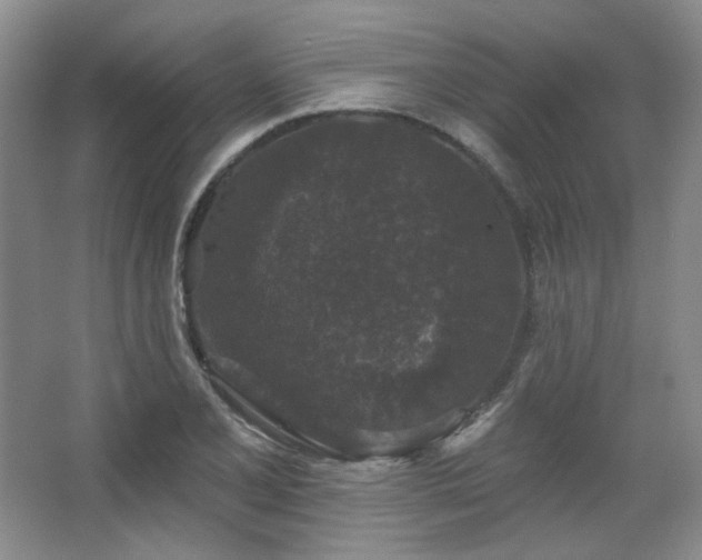 X0000067901077200604131348