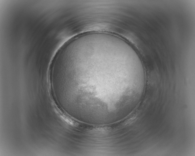 X0000067901078200604131348