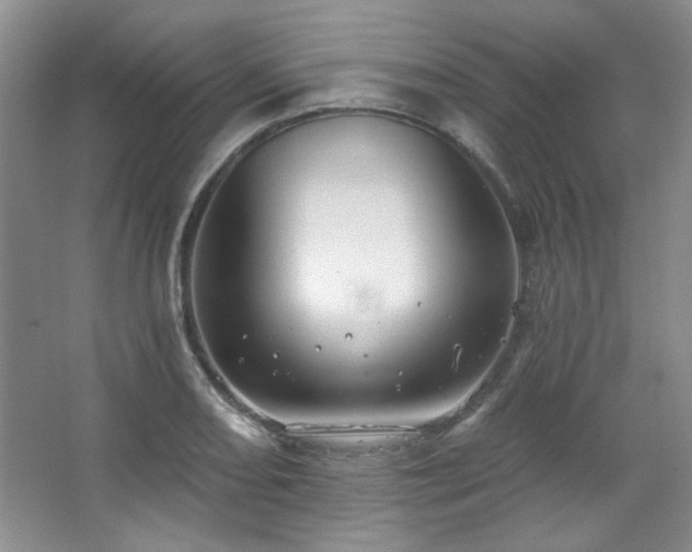 X0000067901082200604131348