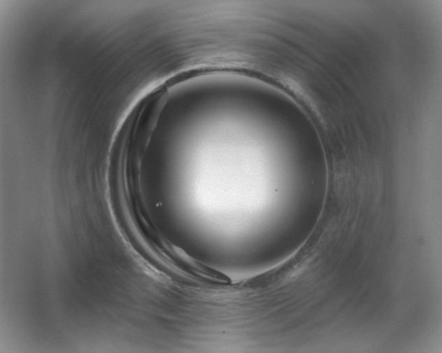 X0000067901085200604131348