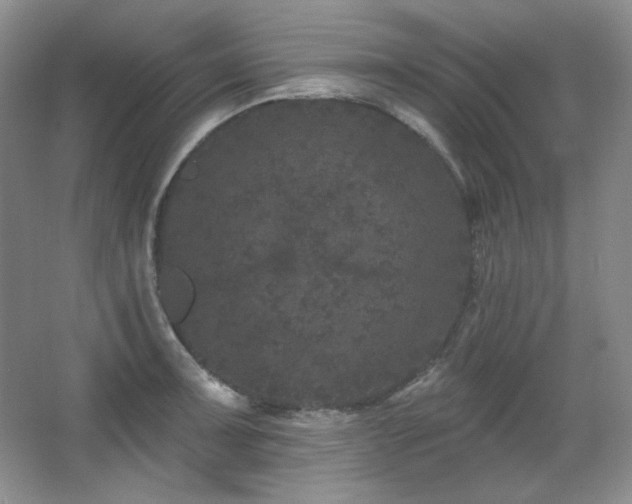 X0000067901091200604131348