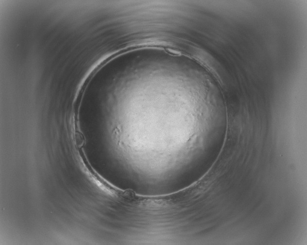 X0000067901092200604131348