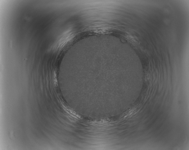 X0000067901106200604131347