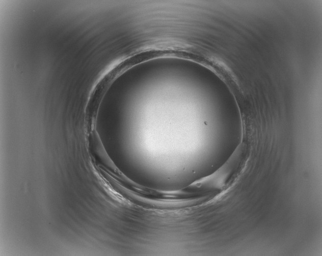 X0000067901114200604131347