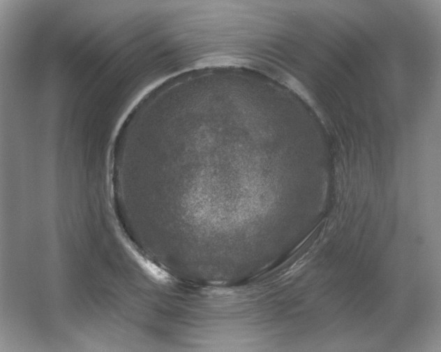 X0000067901124200604131347