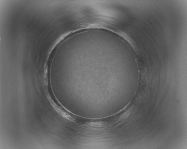 X0000067901126200604131347