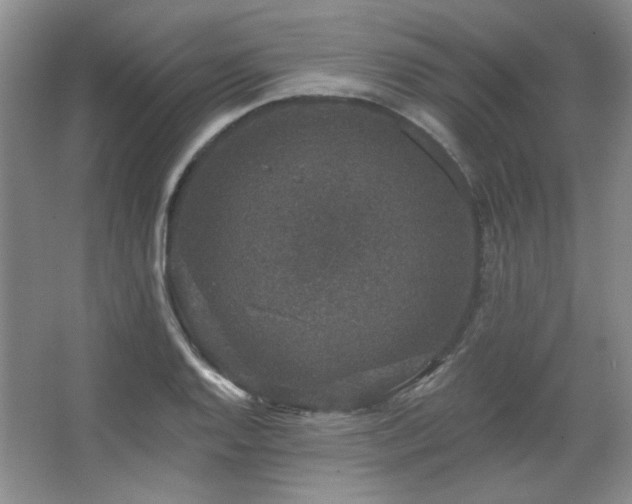 X0000067901128200604131347