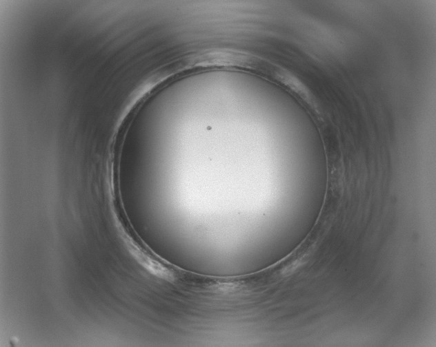 X0000067901130200604131347