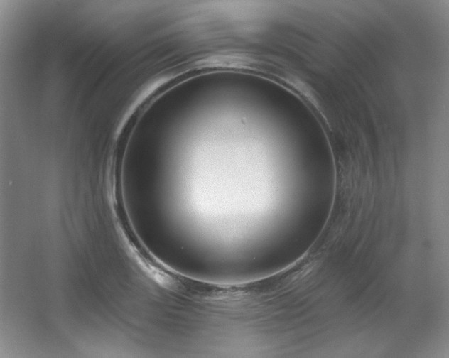 X0000067901131200604131347