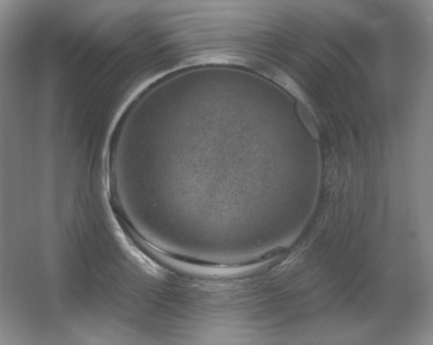 X0000067901132200604131347