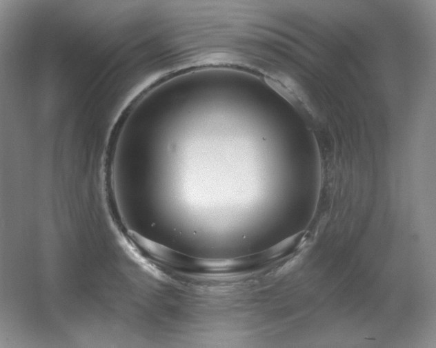 X0000067901134200604131347