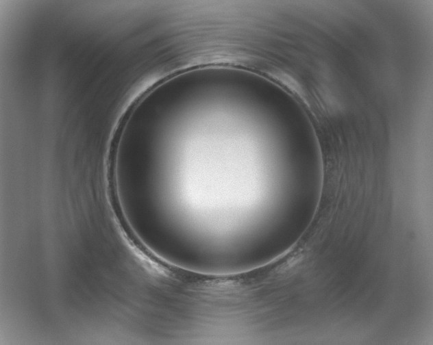 X0000067901135200604131347