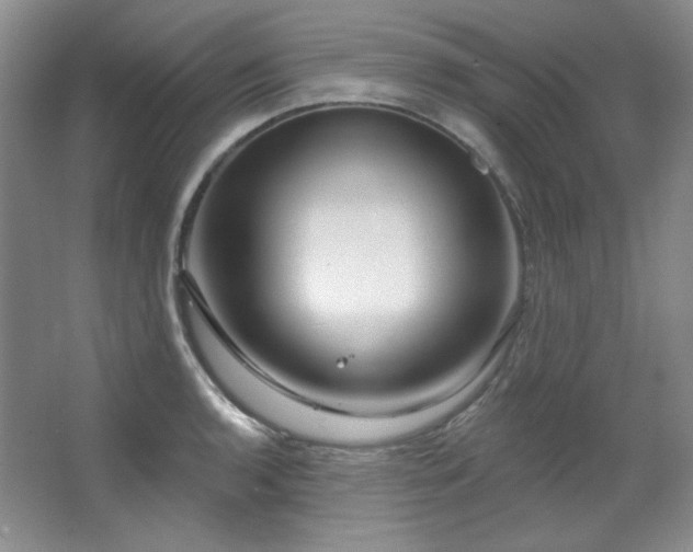 X0000067901136200604131347