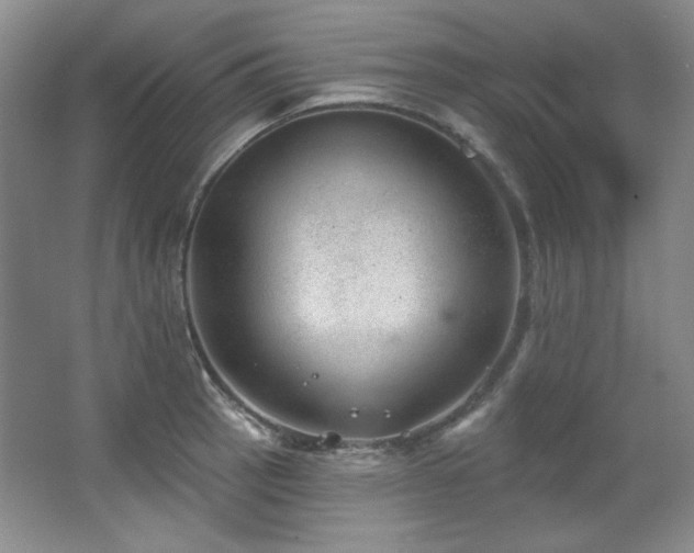 X0000067901137200604131347