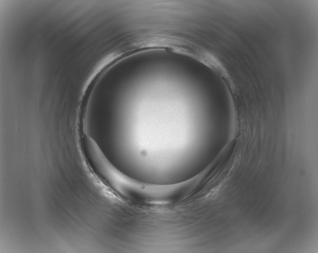 X0000067901138200604131347