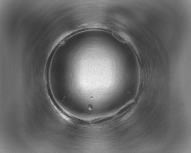 X0000067901141200604131347