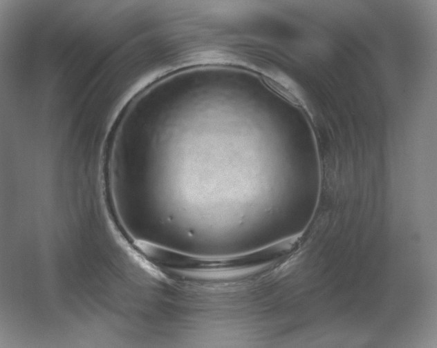 X0000067901142200604131347