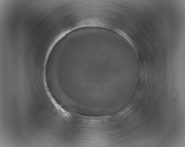 X0000067901144200604131347