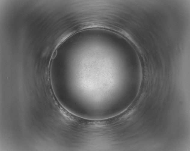 X0000067901145200604131347