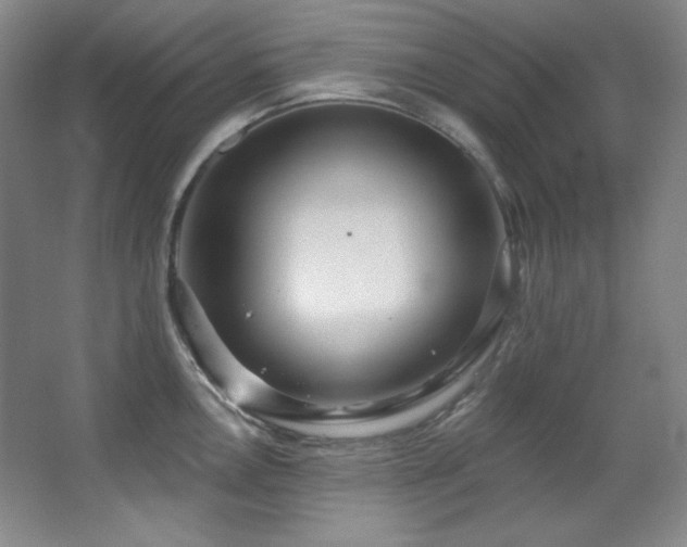 X0000067901146200604131348
