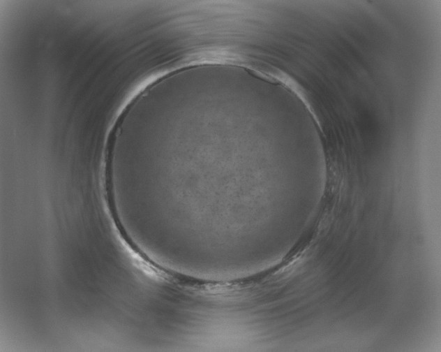 X0000067901147200604131348