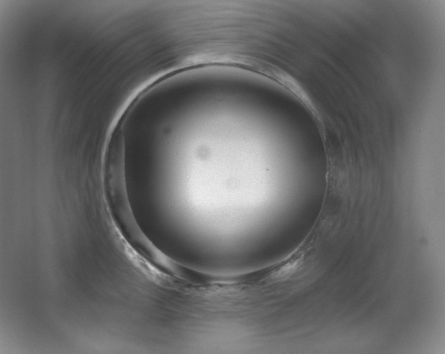 X0000067901148200604131348