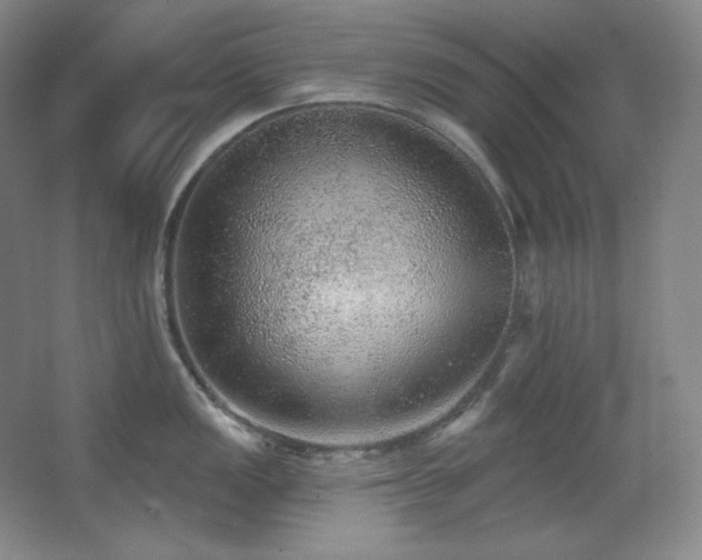 X0000067901149200604131348