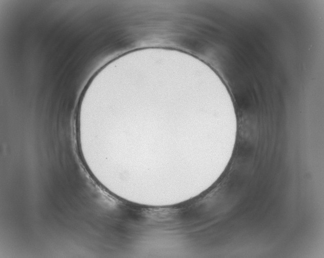 X0000067901150200604131348