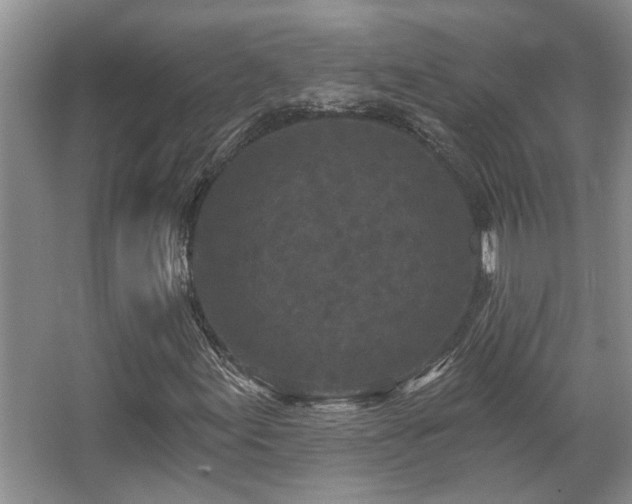 X0000067901155200604131347